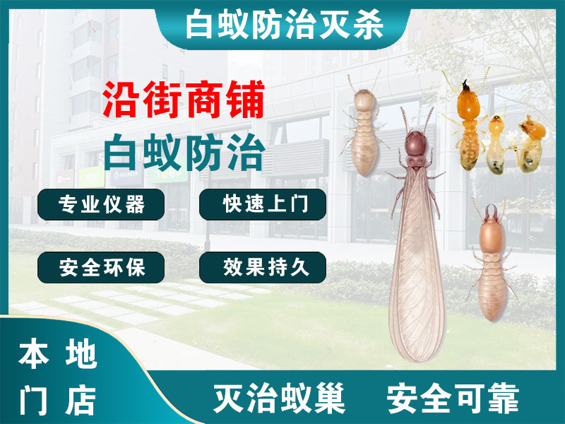 闵行区沿街商铺白蚁防治
