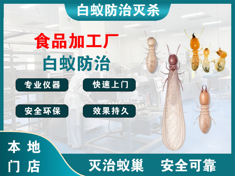 闵行区食品加工厂白蚁防治