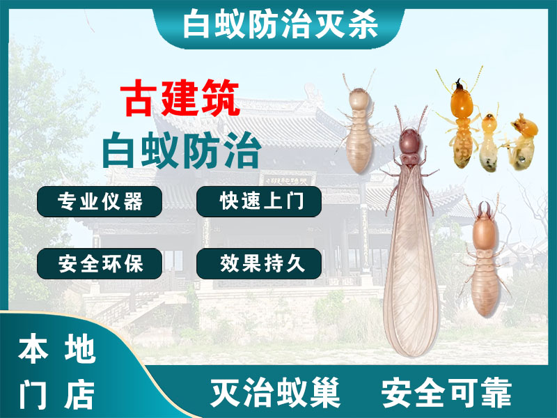闵行区古建筑白蚁防治