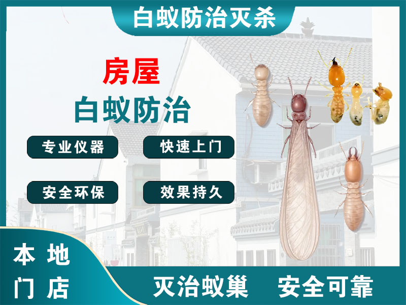 闵行区房屋白蚁防治